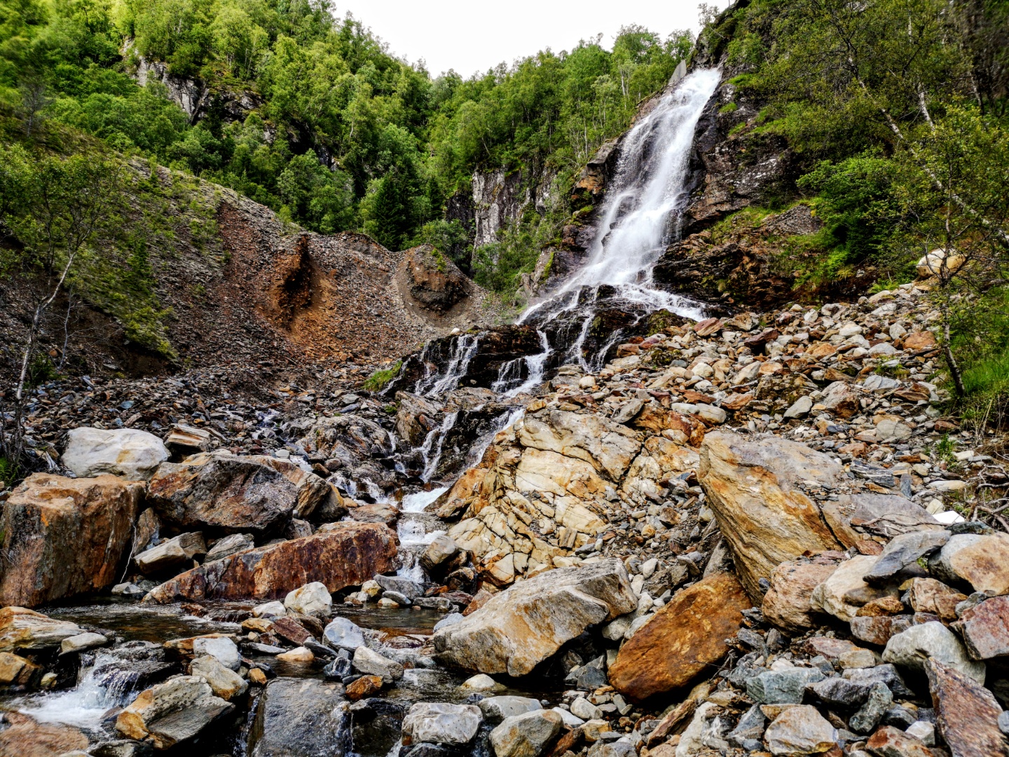 Alexander Grieg Hytten